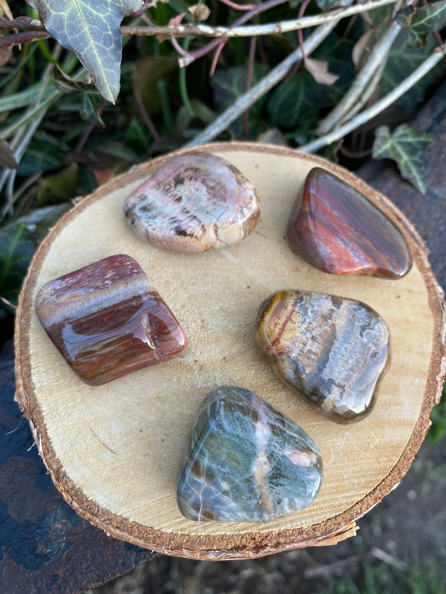 Bois Fossile