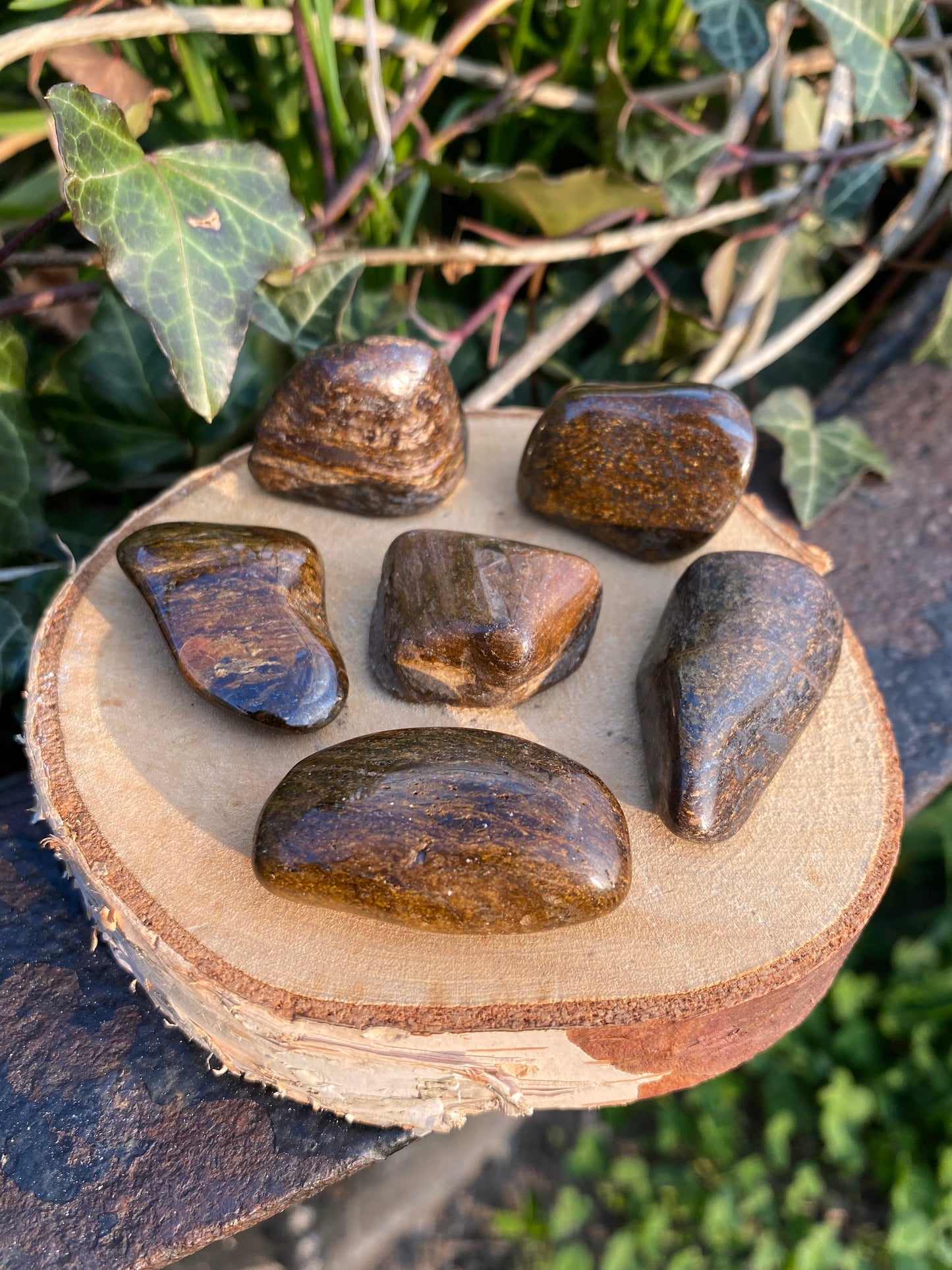 Bronzite