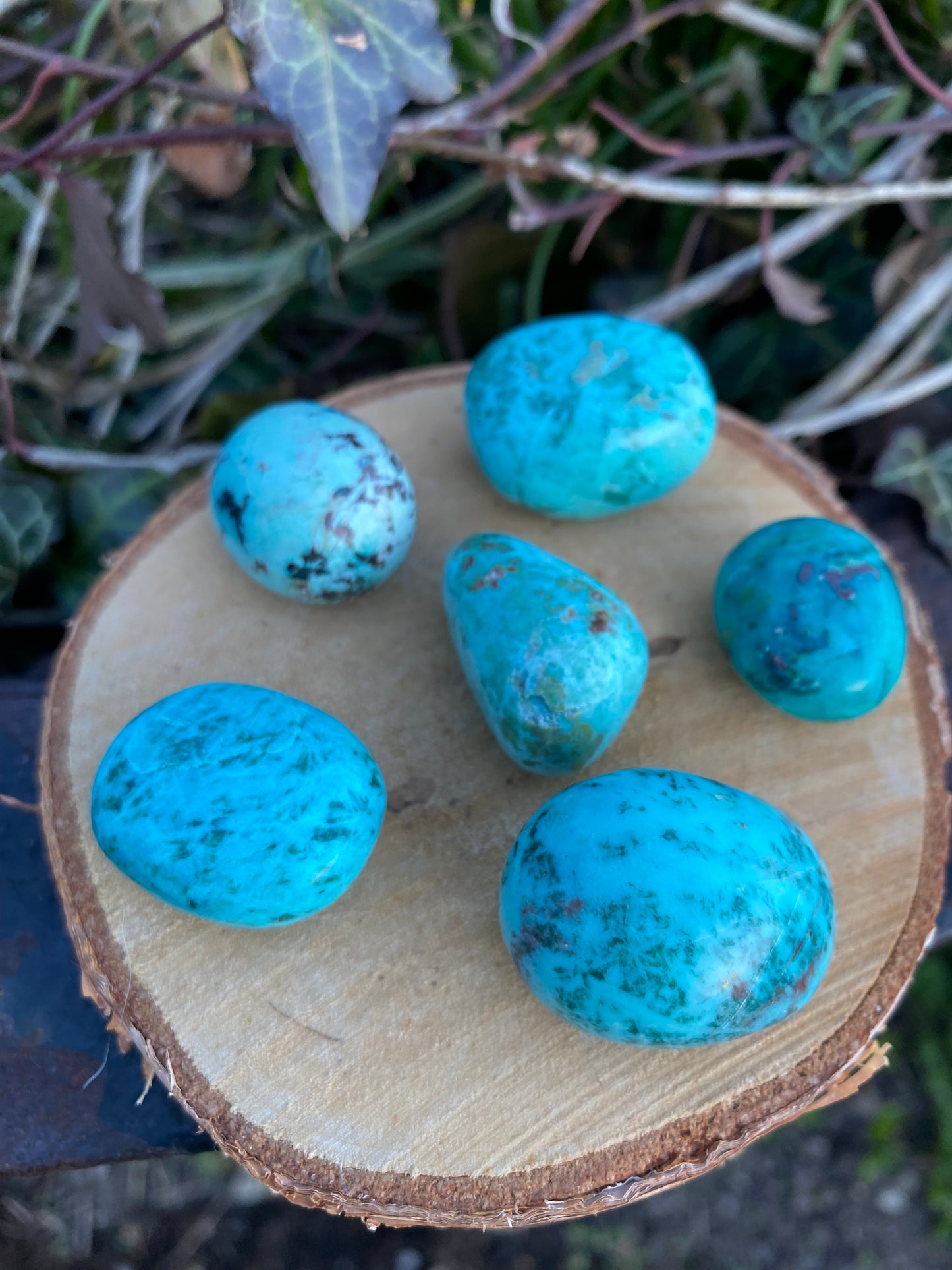 Chrysocolle