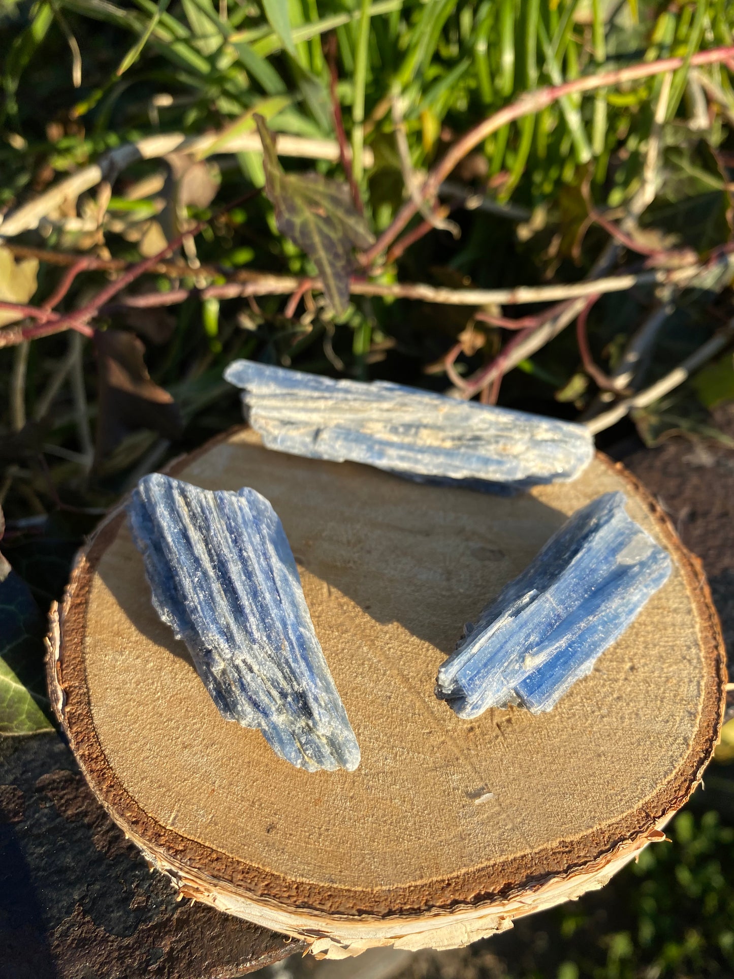 Cyanite Bleue