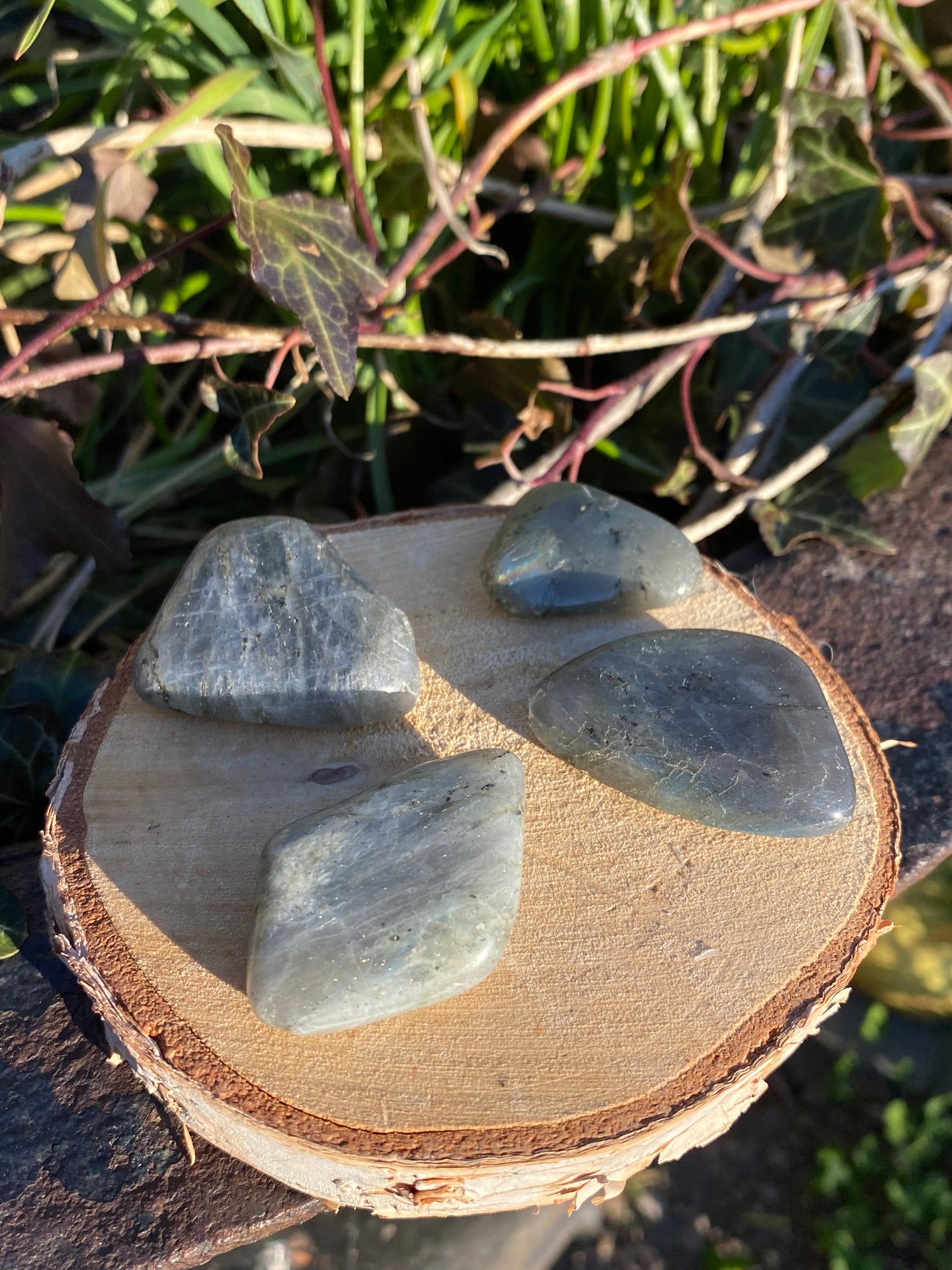 Labradorite