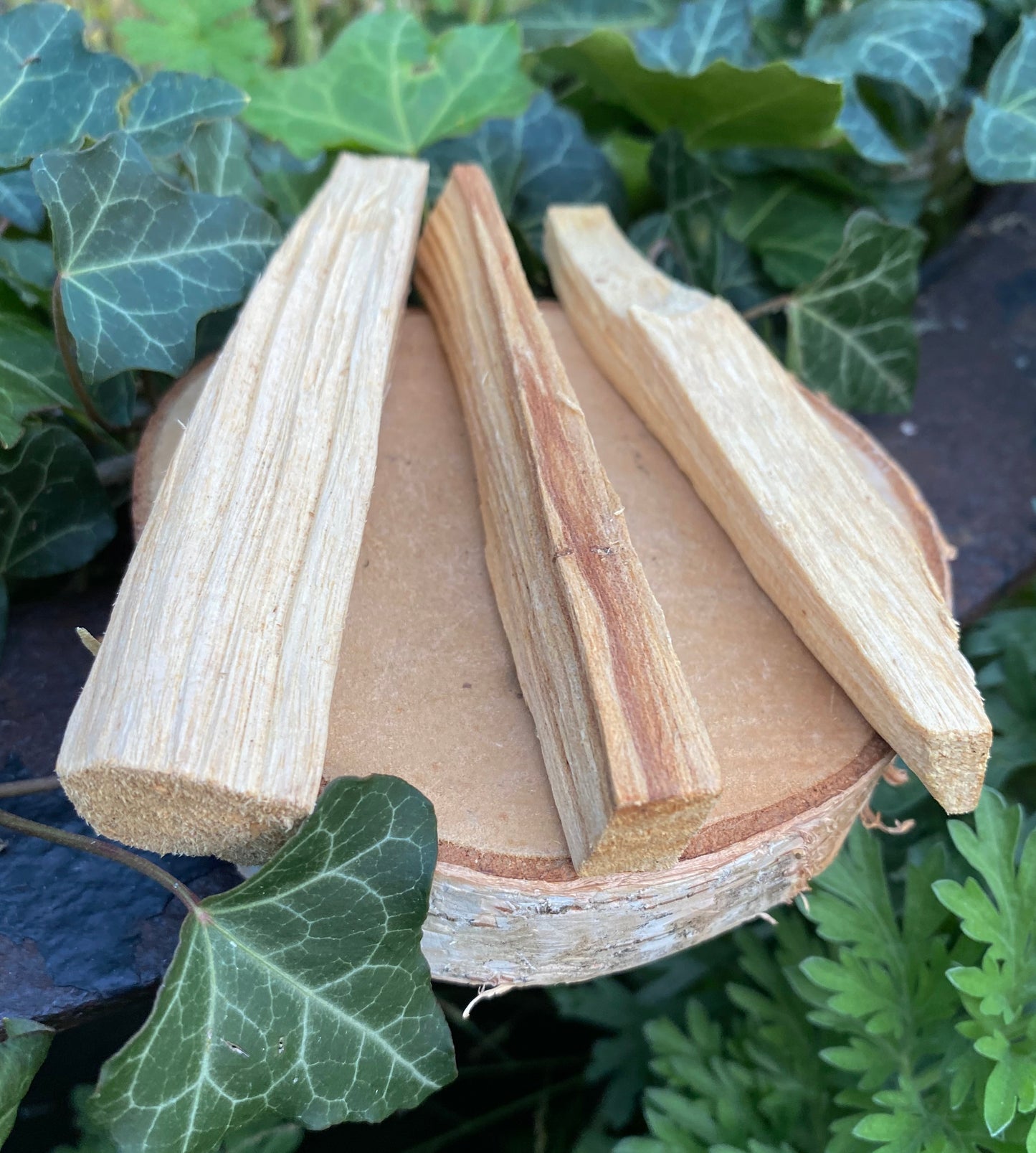 Palo Santo