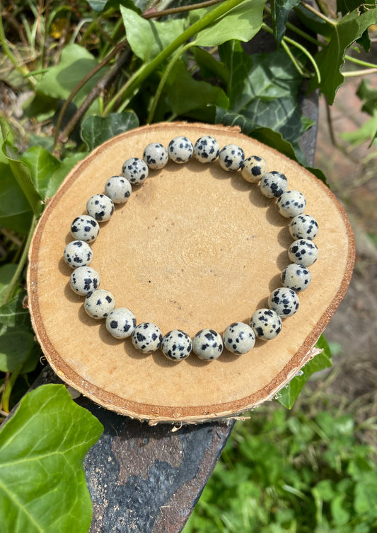 Bracelet Jaspe Dalmatien