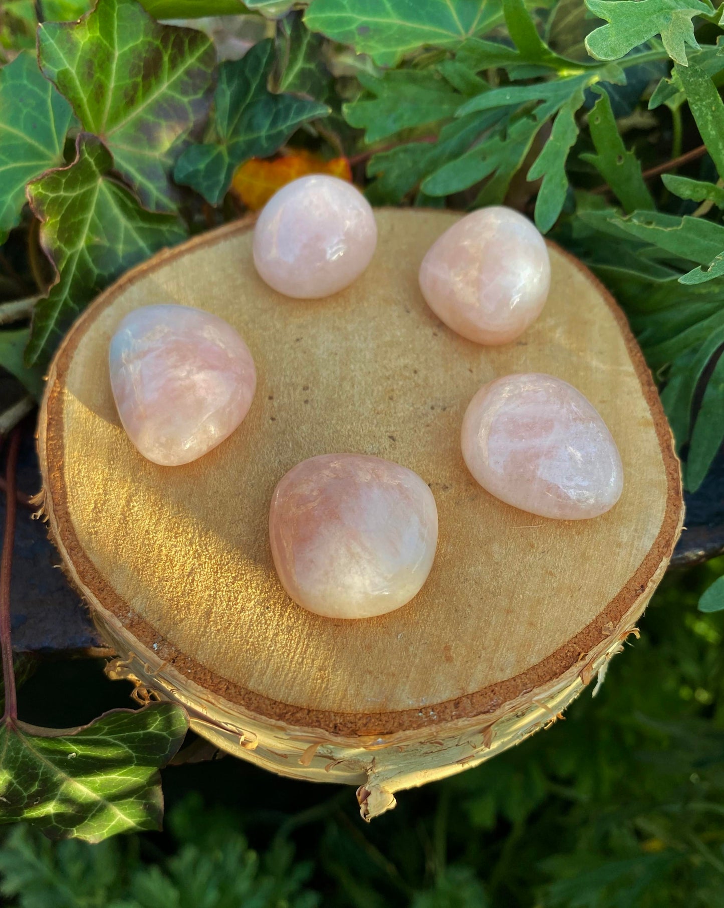Morganite