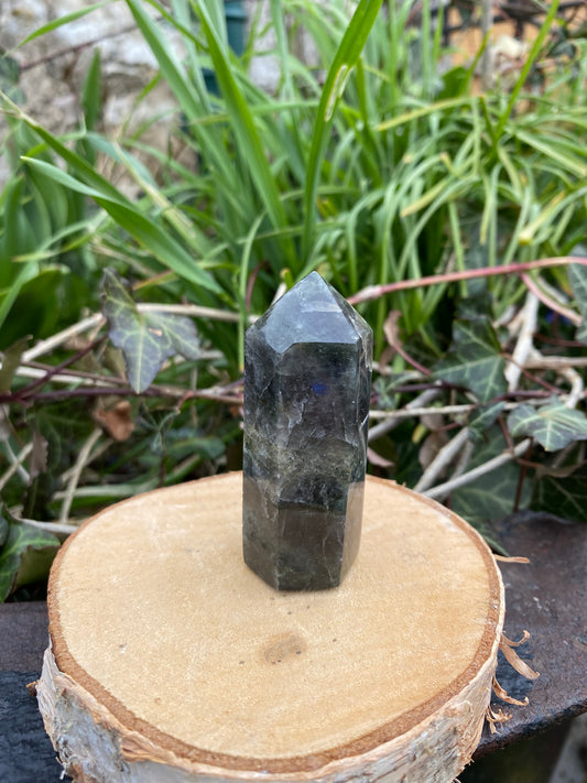 Pointe Labradorite