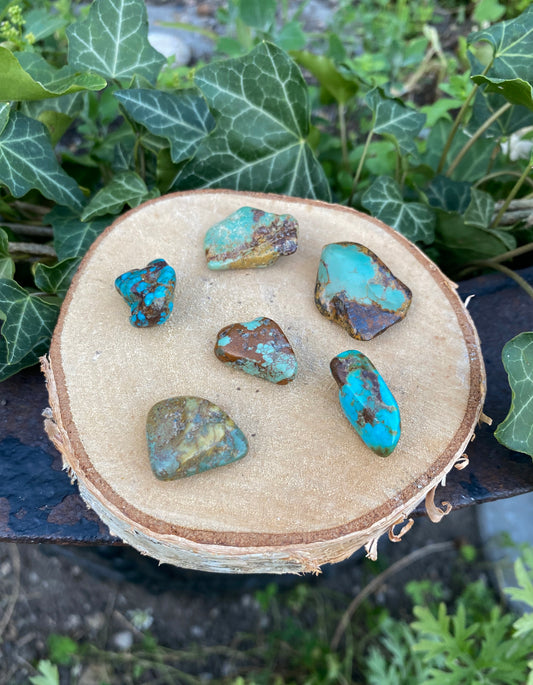 Turquoise